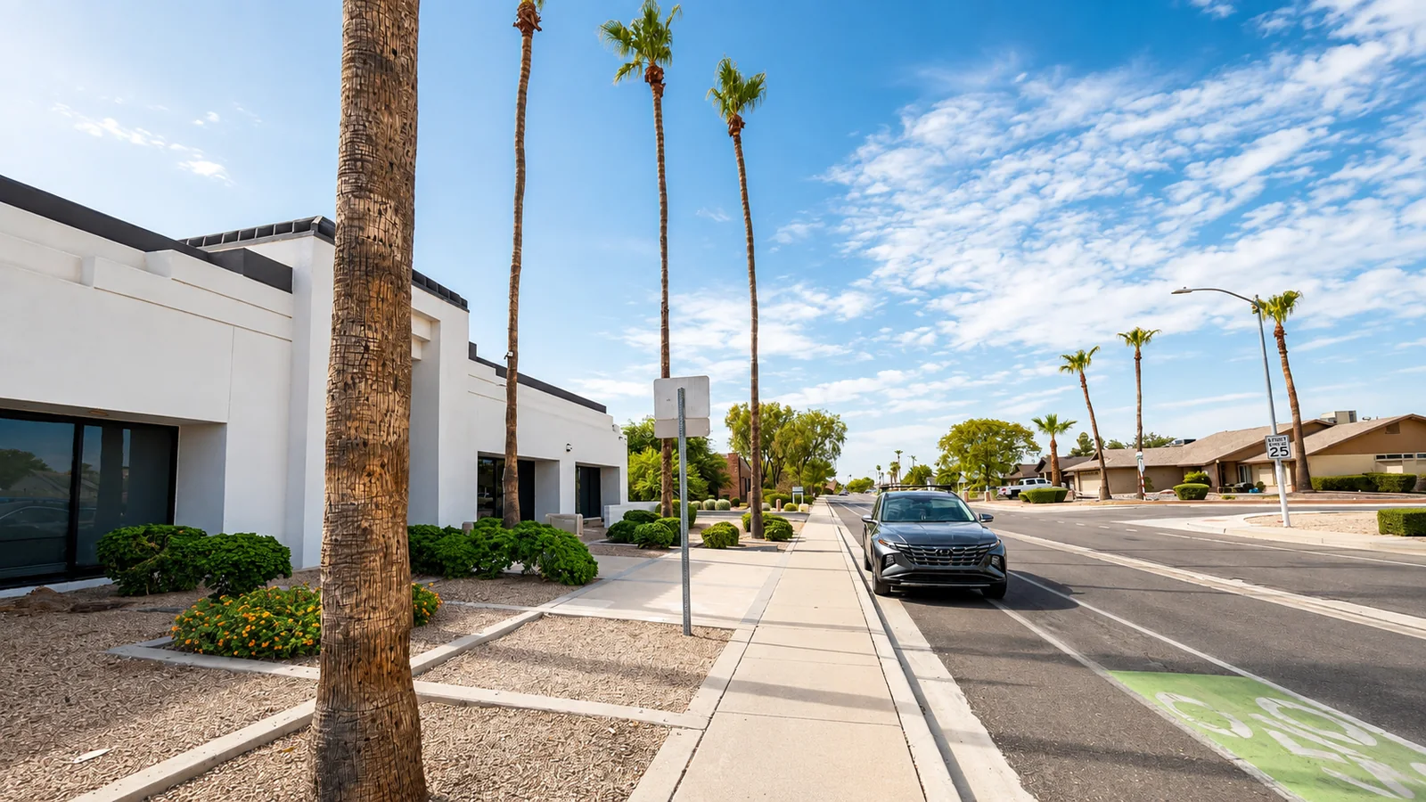 Building frontage and palm-lined sidewalk along West Bell Road in Phoenix